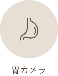 胃カメラ